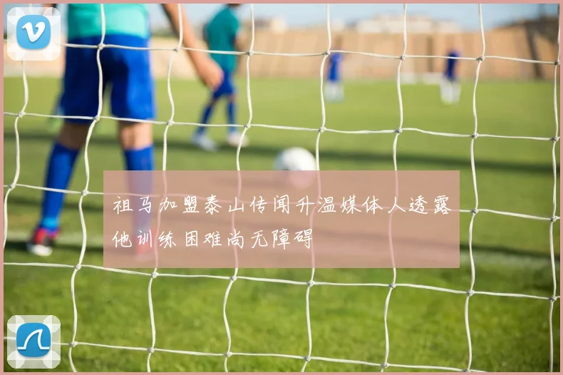 祖马加盟泰山传闻升温媒体人透露他训练困难尚无障碍